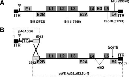 FIG. 1.