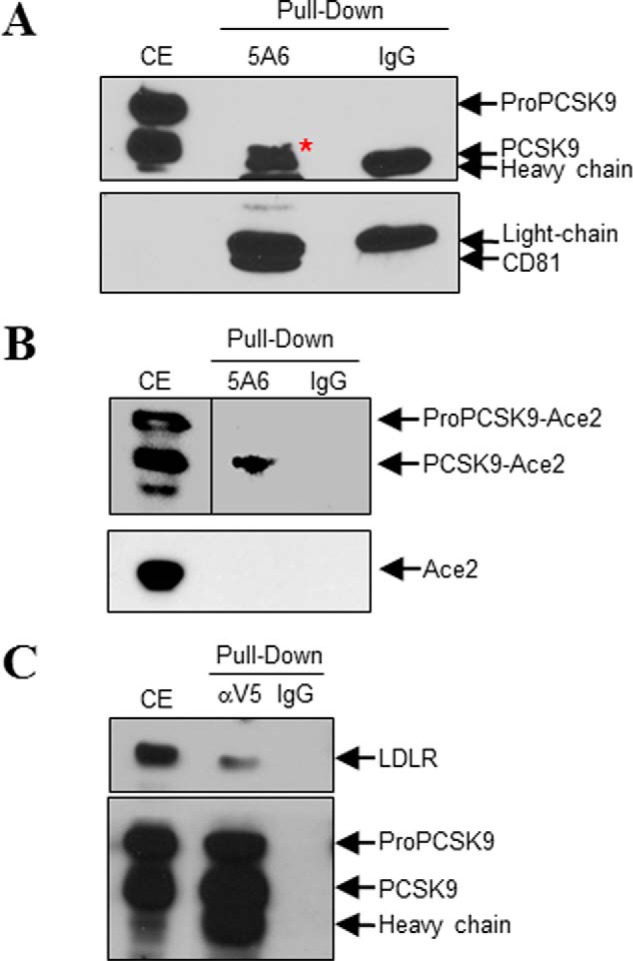 FIGURE 10.