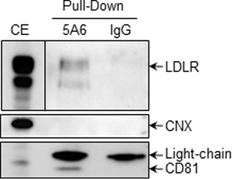 FIGURE 14.