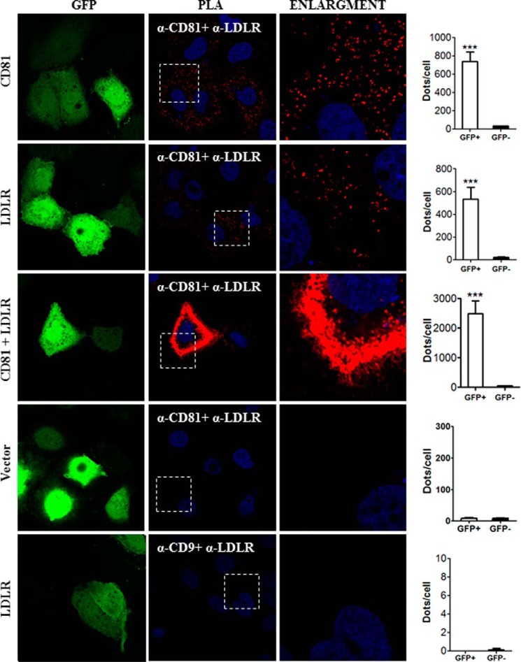 FIGURE 13.