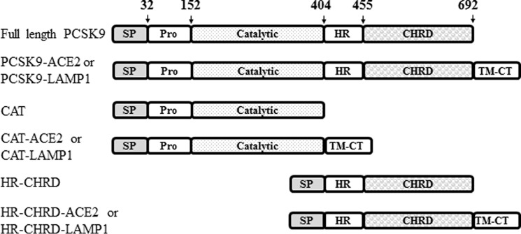 FIGURE 1.