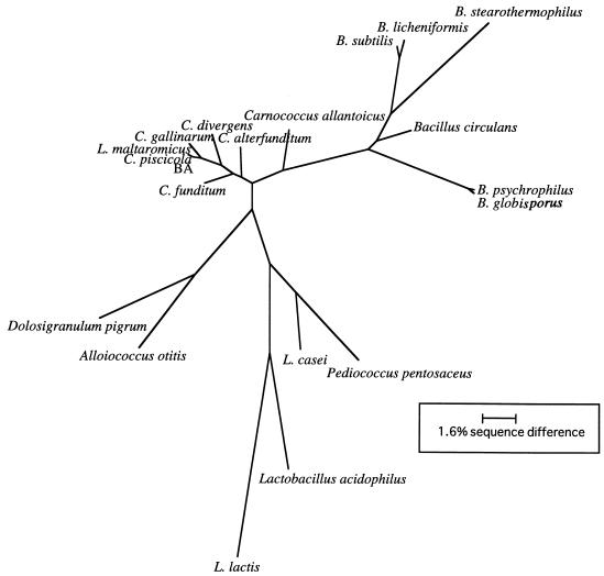 FIG. 1