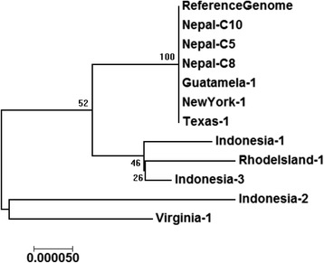 Fig. 6