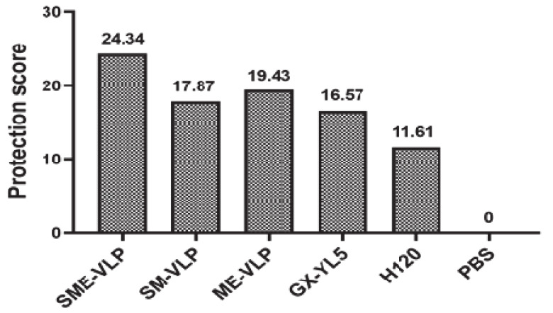 Figure 13