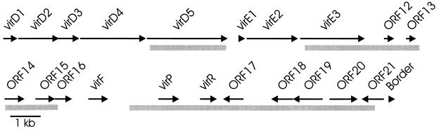 FIG. 1