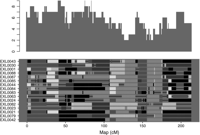 Fig. 1