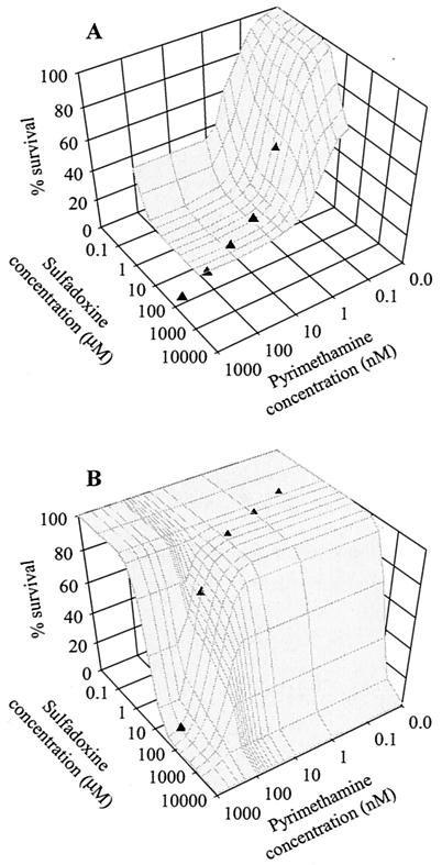 FIG. 1.