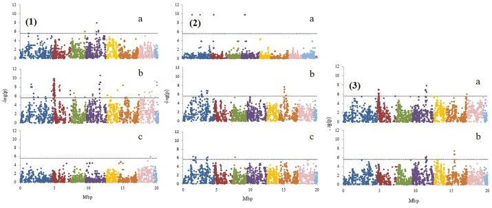 FIGURE 3