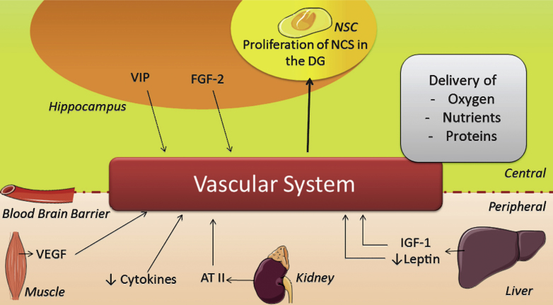 Fig.3