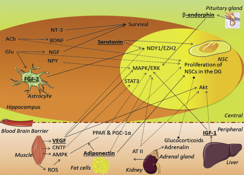 Fig.2