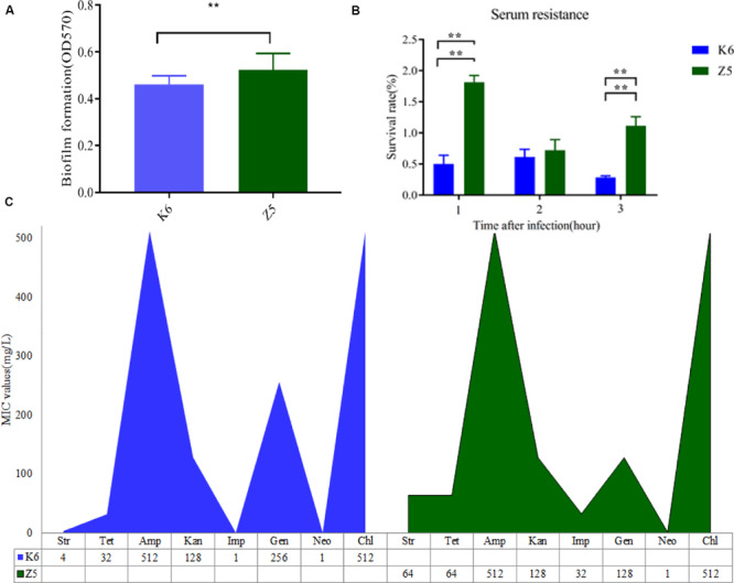 FIGURE 2