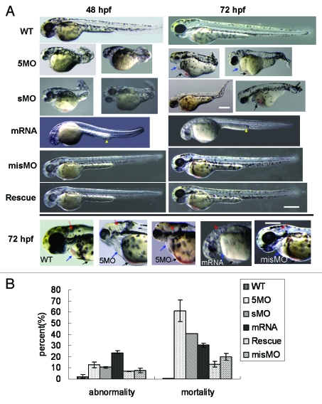 Figure 3.