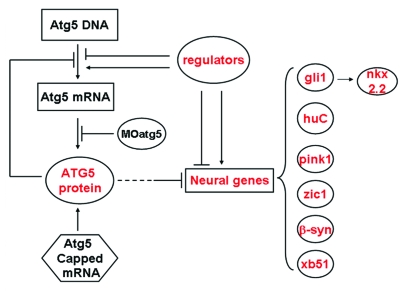 Figure 7.