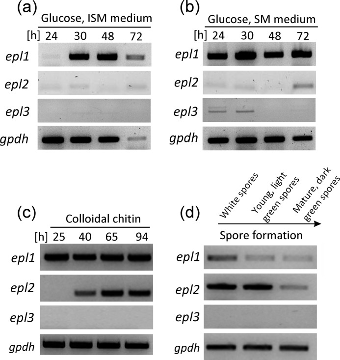 FIGURE 7.