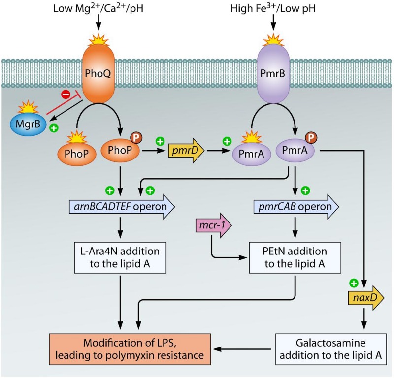 FIG 3