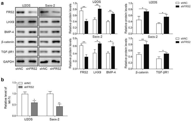 Fig. 6