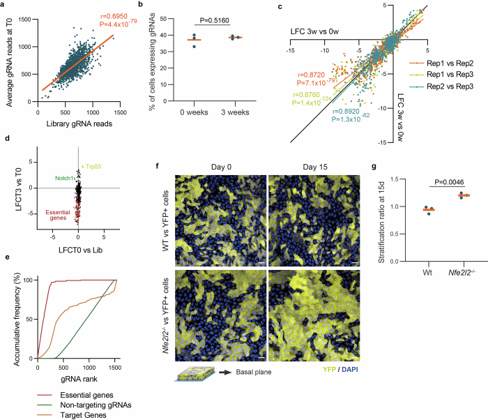 Extended Data Fig. 6