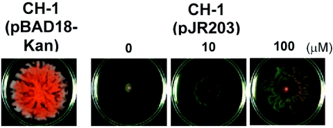 FIG. 5.