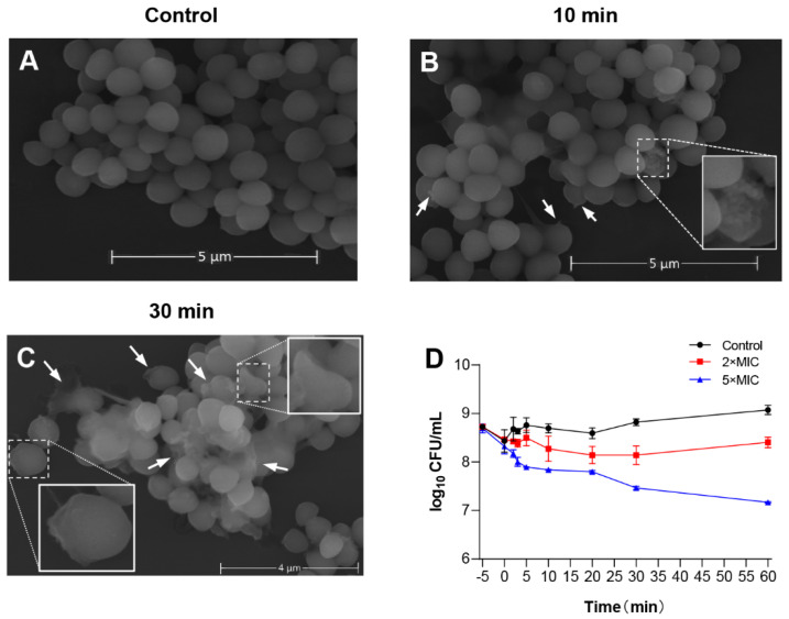 Figure 5