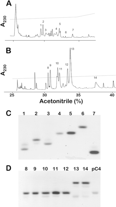 FIG. 1.