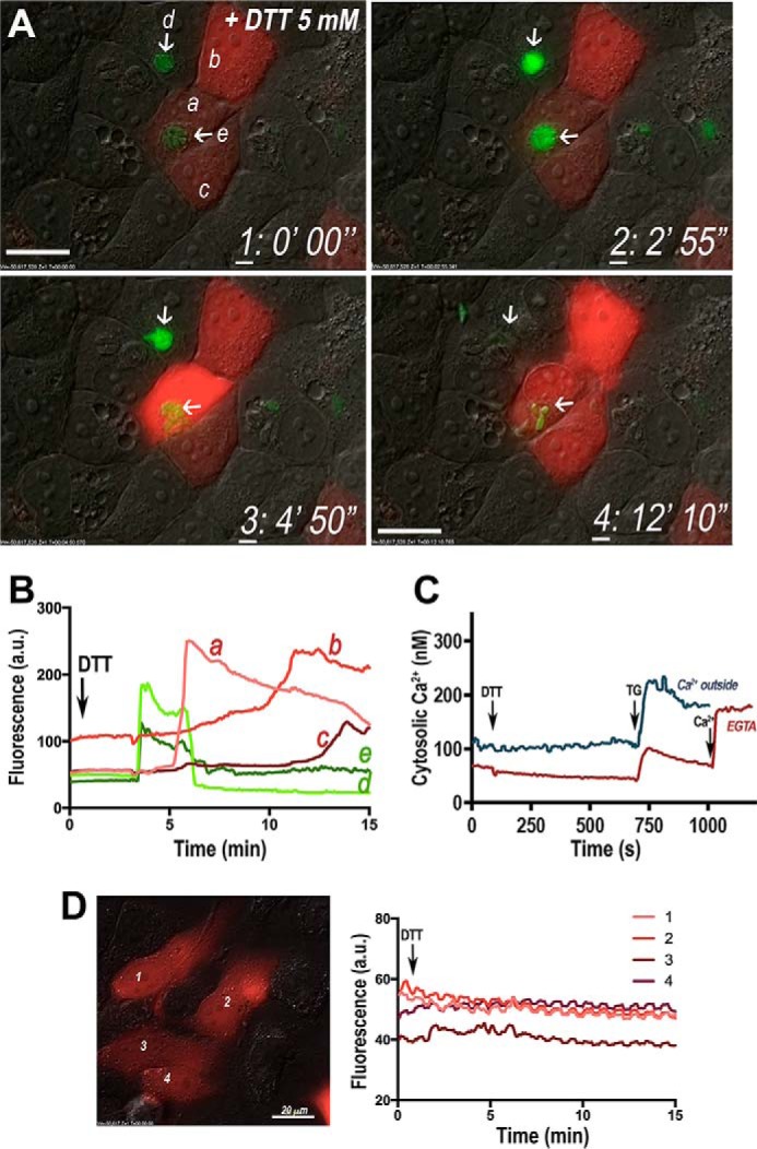 FIGURE 3.