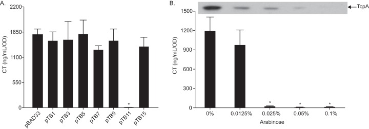 FIG 1