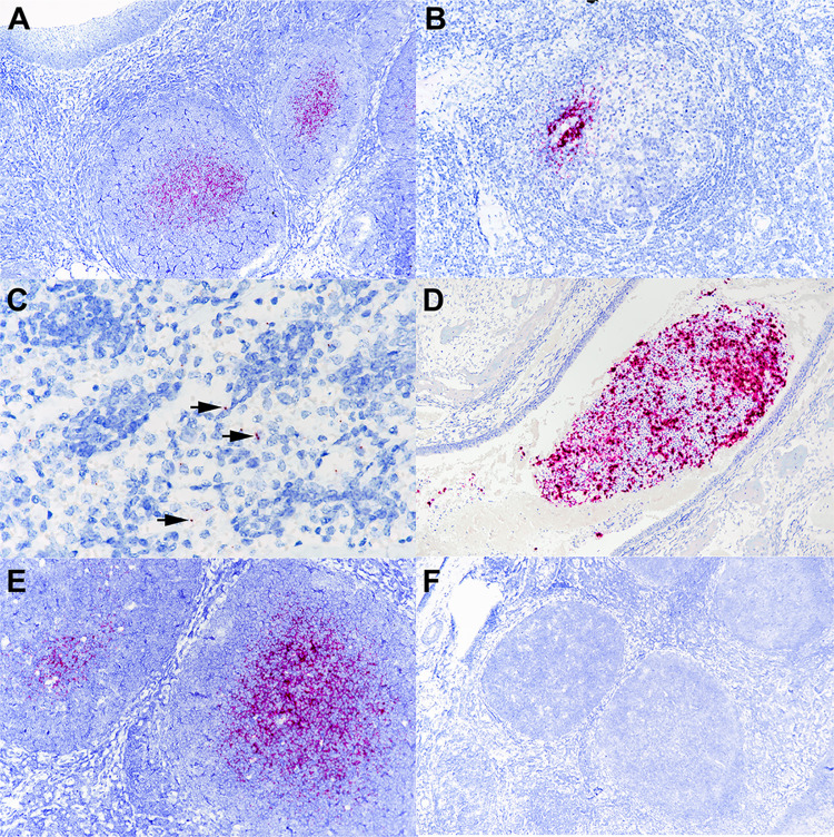 FIG 6