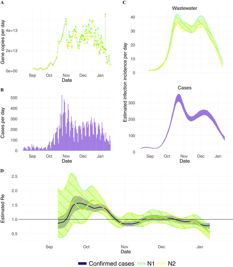 Figure 1A is a dot graph, plotting gene copies per day, ranging from 0 to 4 times ten to the power 13 (y-axis) across Date, ranging from September to January (x-axis). Figure 1B is a histogram, plotting cases by day, ranging from 0 to 500 in increments of 100 (y-axis) across date, ranging from September to January (x-axis). Figure 1C shows a set of two ribbon plots titled Wastewater and Cases, plotting, Estimated infection incidence per day, ranging from 0 to 40 in increments of 10 and 0 to 300 in increments of 100 (y-axis) across Date, ranging from September to January (x-axis), respectively. Figure 1D is a ribbon plot, plotting estimated effective reproduction number, ranging from 0.5 to 2.5 in increments of 0.5 (y-axis) across Date, ranging from September to January (x-axis) for confirmed cases, N 1, and N 2.