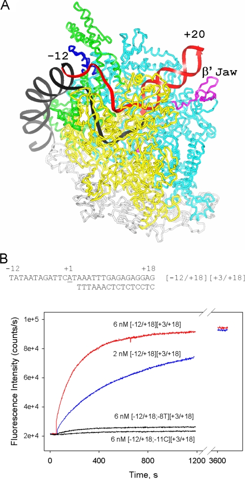 FIGURE 1.