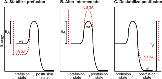 FIG 10 