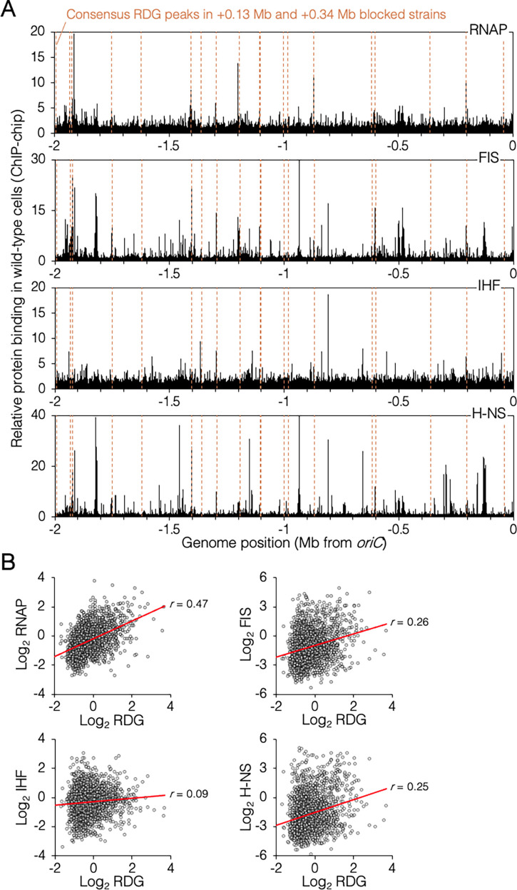 Figure 6—figure supplement 3.