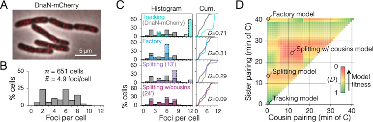 Figure 2—figure supplement 2.