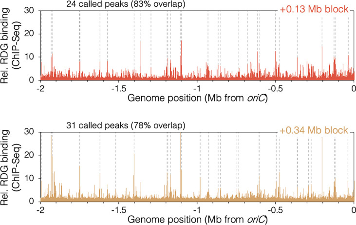 Figure 6—figure supplement 2.