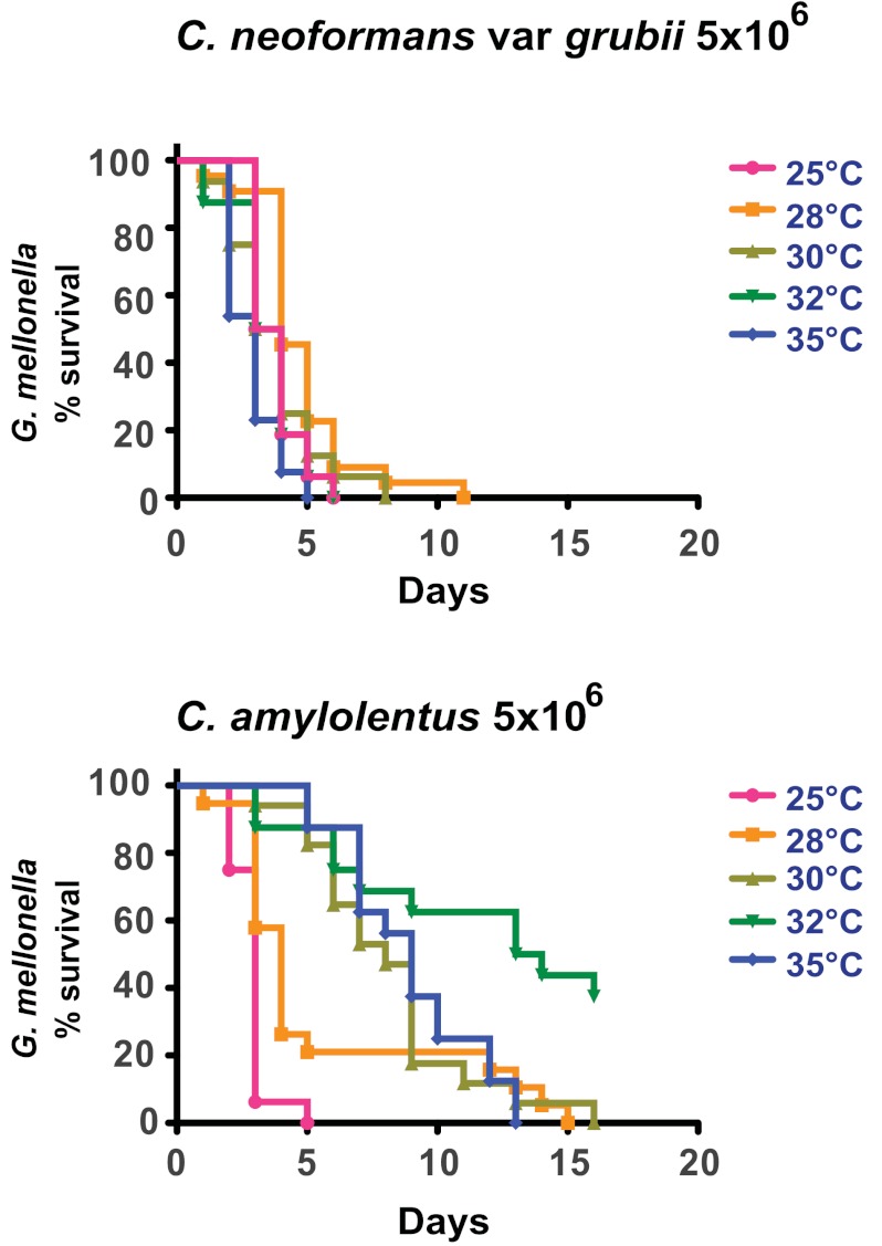 FIG 4 