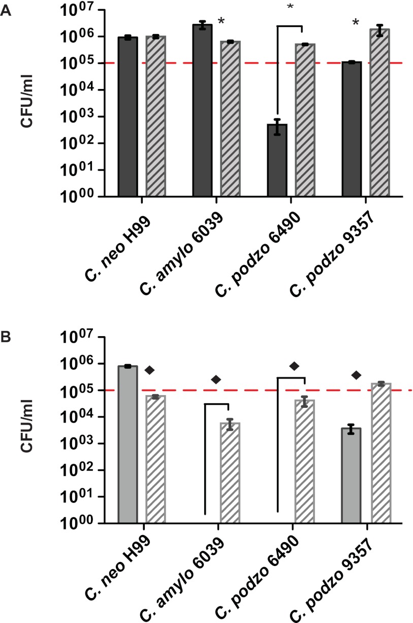 FIG 2 