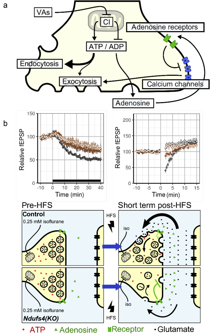 Fig. 7