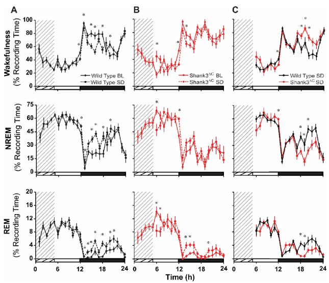 Figure 3—figure supplement 1.