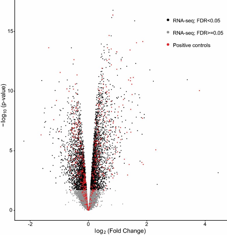 Figure 4—figure supplement 1.