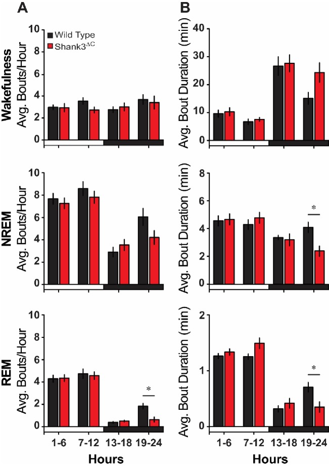 Figure 2—figure supplement 1.