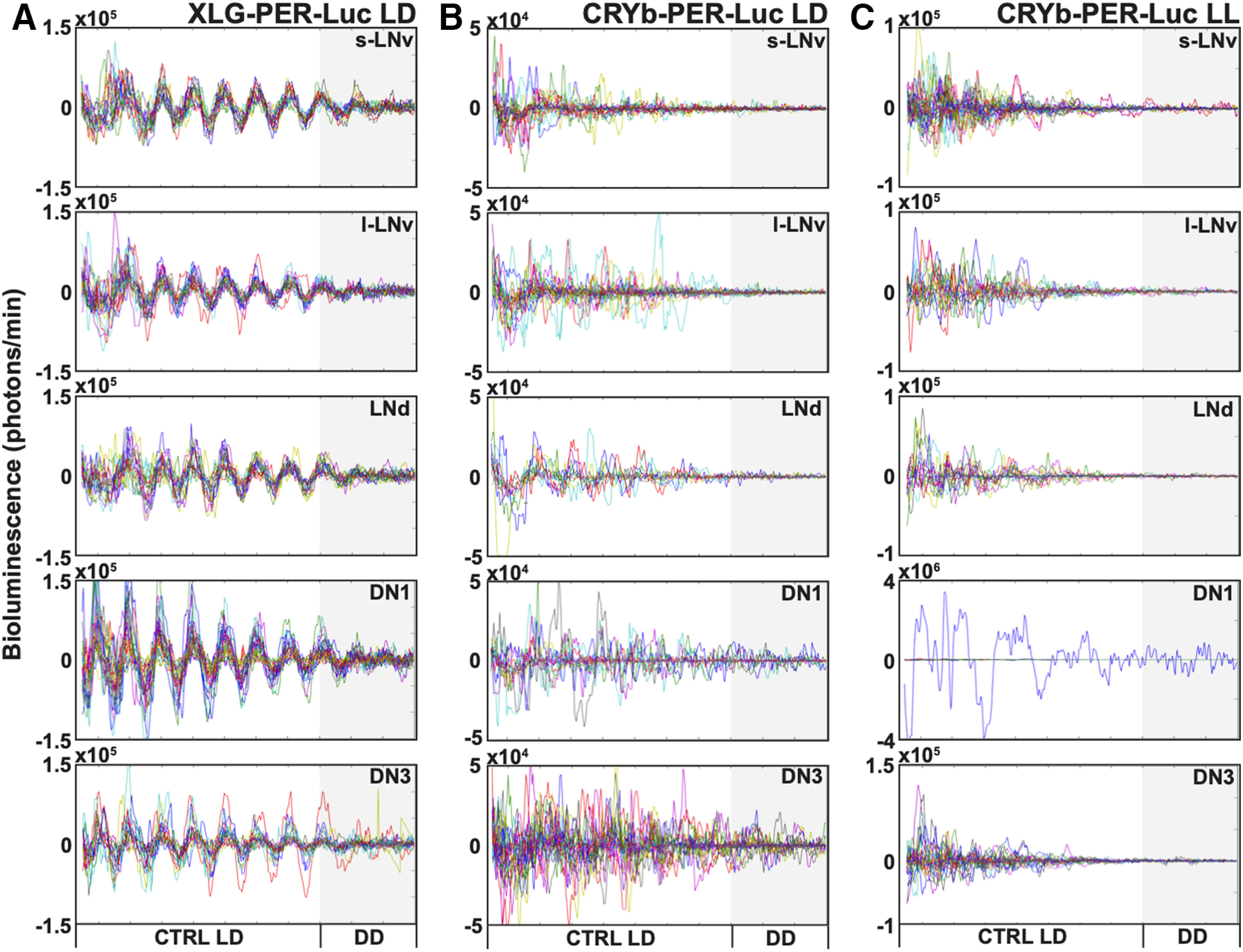 Figure 6.