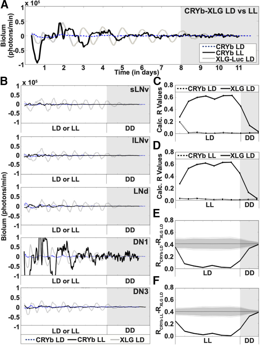 Figure 5.