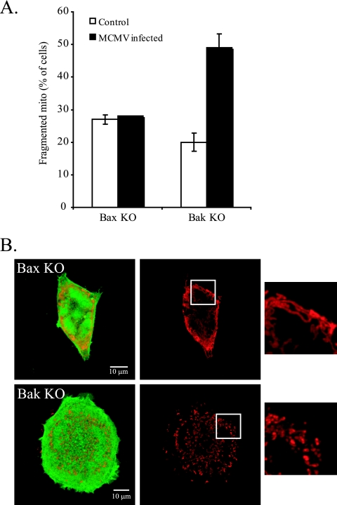 FIG. 7.