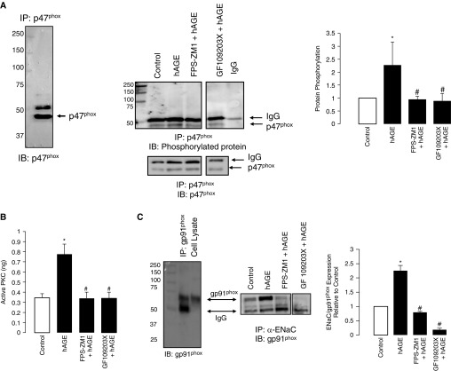 Figure 7.