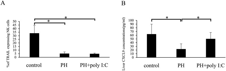 Fig 5