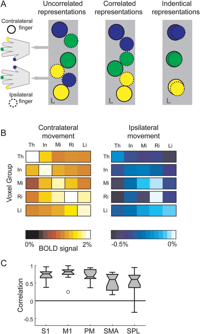 Figure 3.