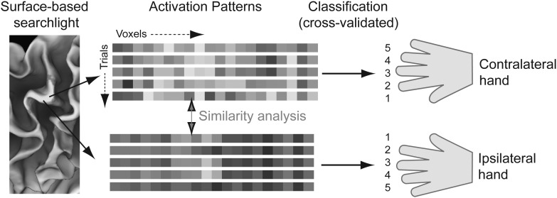 Figure 1.