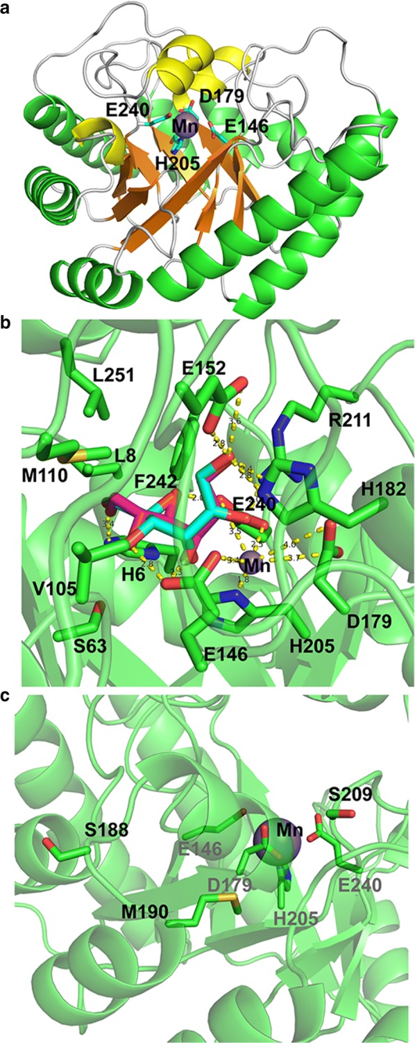 Fig. 4