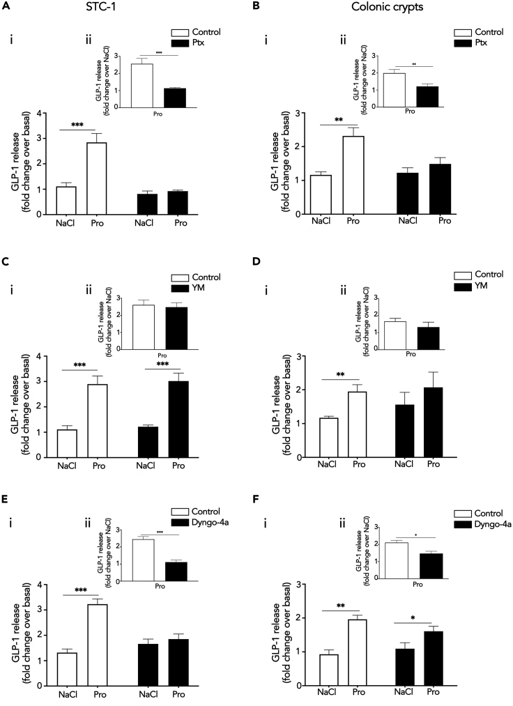 Figure 5