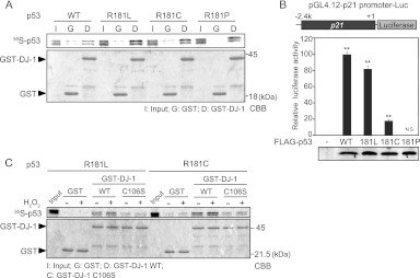 Fig 13