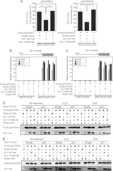 Fig 14